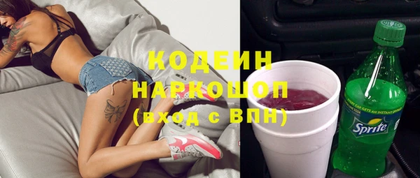 Альфа ПВП Дмитриев