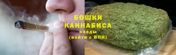 гашик Гусь-Хрустальный