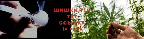 гашик Гусь-Хрустальный