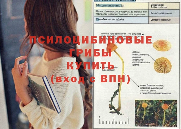 Альфа ПВП Дмитриев
