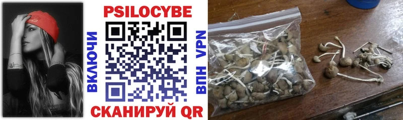 Галлюциногенные грибы GOLDEN TEACHER  Купить закладки  Суоярви 