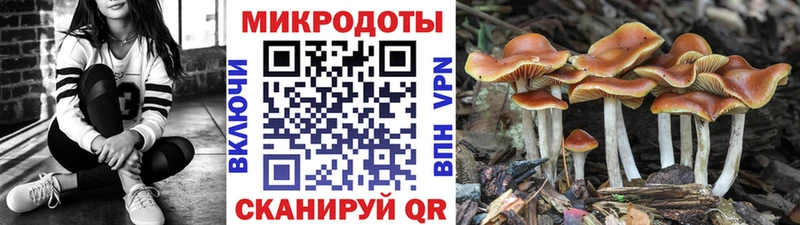 Псилоцибиновые грибы мицелий Суоярви